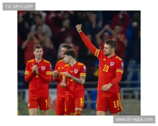 英超中的威尔士球队:来自威尔士的英超参赛球队 英超中的威尔士球队:来自威尔士的英超参赛球队