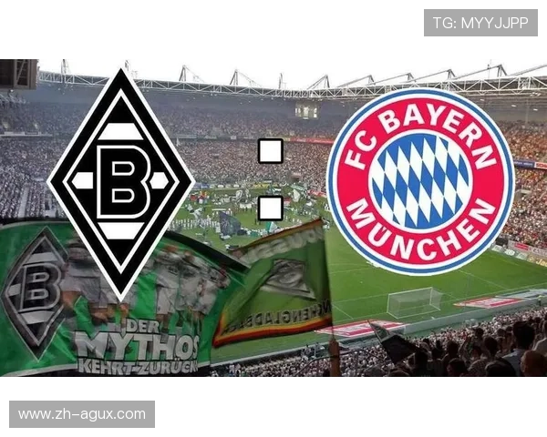 德甲中游球队实力分布与竞争态势分析 德甲中游球队实力分布与竞争态势分析