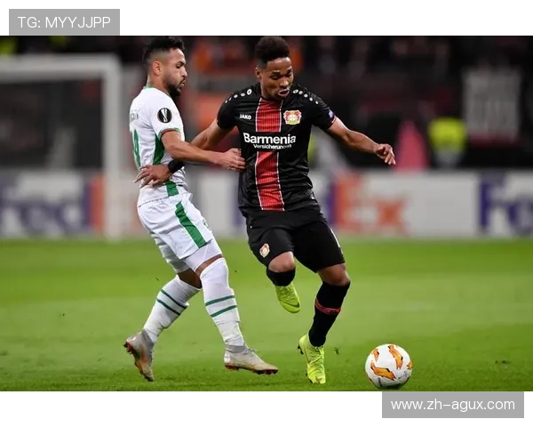 没有德甲球队进欧冠吗：为什么本赛季德甲没有球队进入欧冠联赛