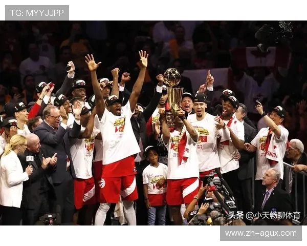 近几年NBA总冠军队伍回顾与分析