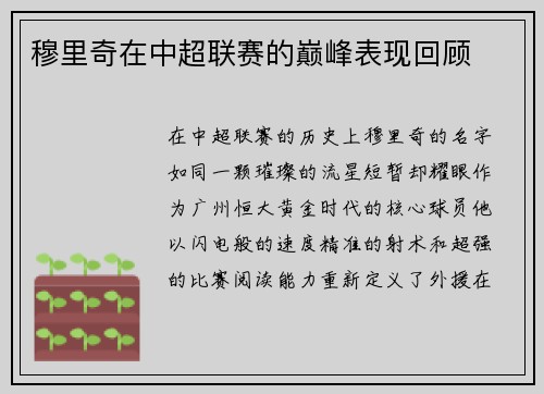 穆里奇在中超联赛的巅峰表现回顾