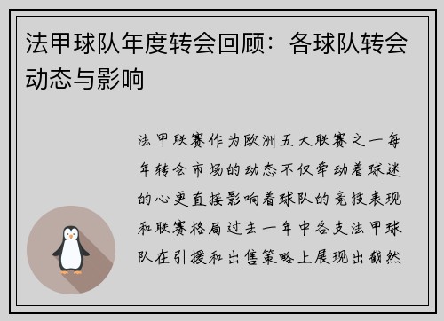 法甲球队年度转会回顾：各球队转会动态与影响